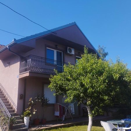 Apartment Andjela Beograd Eksteriør billede